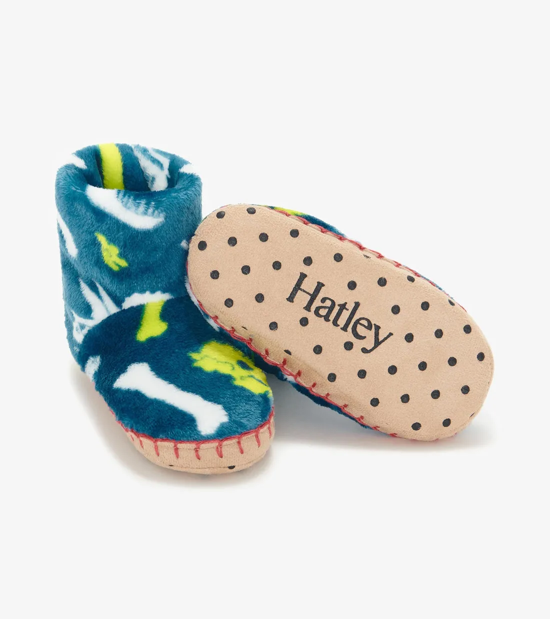 Dino Fossils Slippers